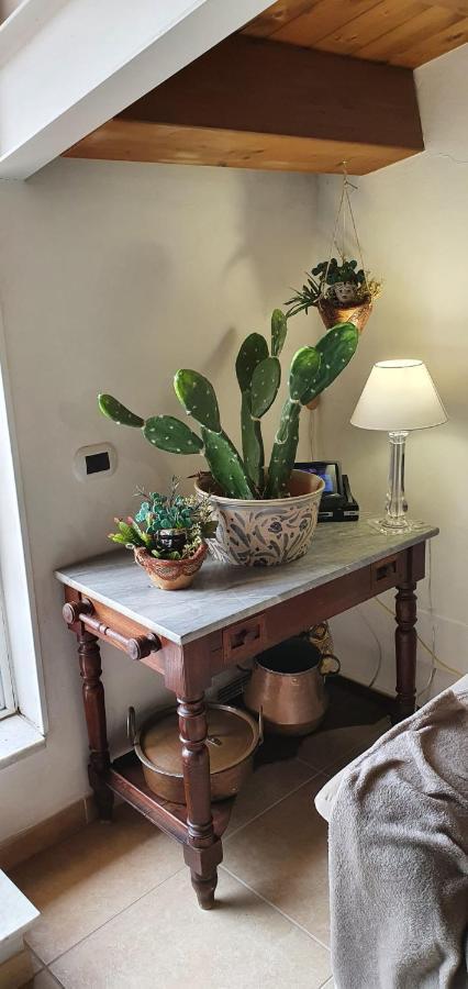 Bed and Breakfast Palermit'Amo Palermo Zewnętrze zdjęcie